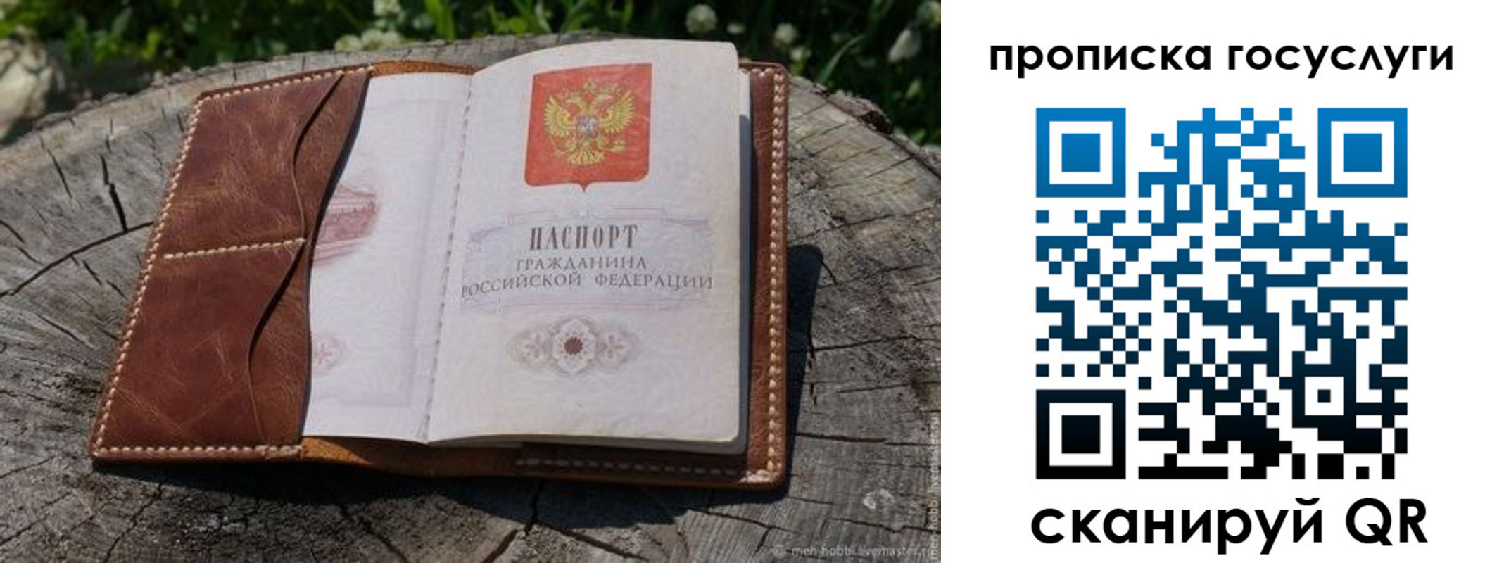 прописка для школы в Петров Вале
